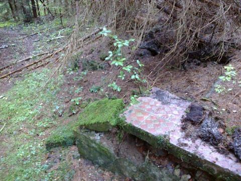 Foto 201